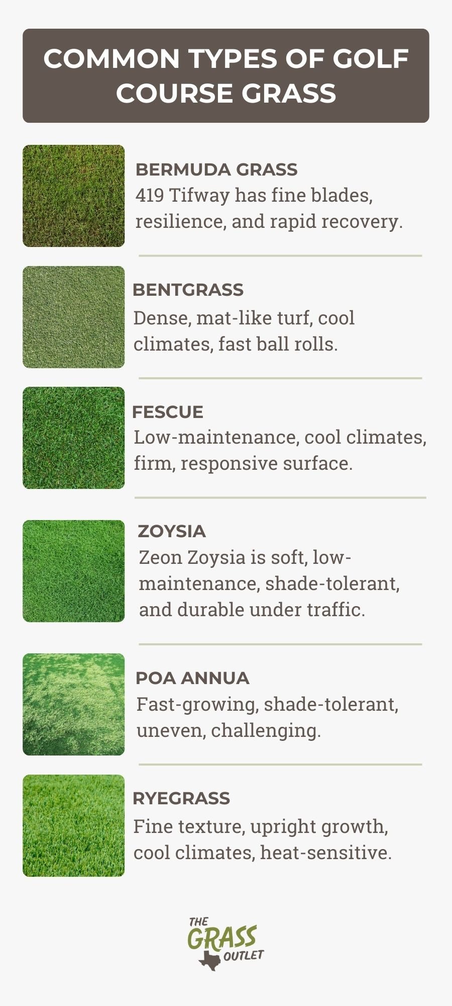 what-kind-of-grass-is-on-a-golf-course_1753276259